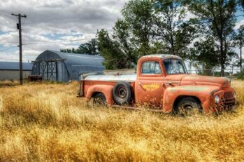 Old red truck in a field.