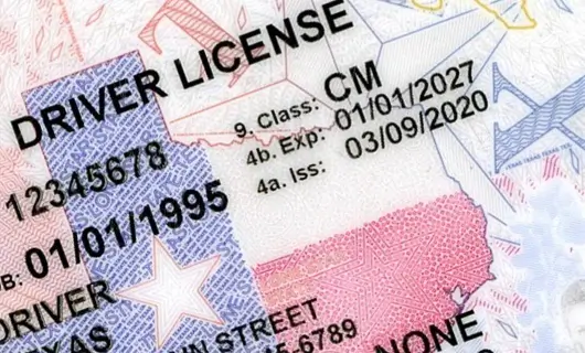 An illustration of required courses for obtaining a Texas driver's license.