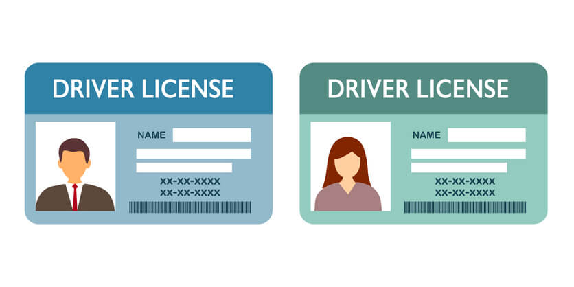 Two driver licenses of man and woman in flat design