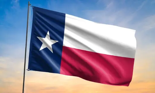 Texas Driver's License Eligibility-Requirements and How to Qualify